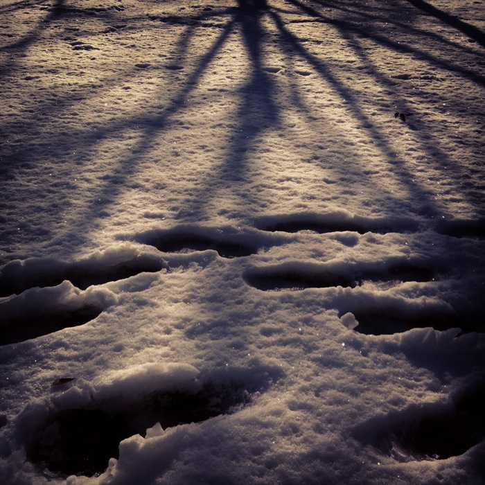 ՂƖ؂̉e