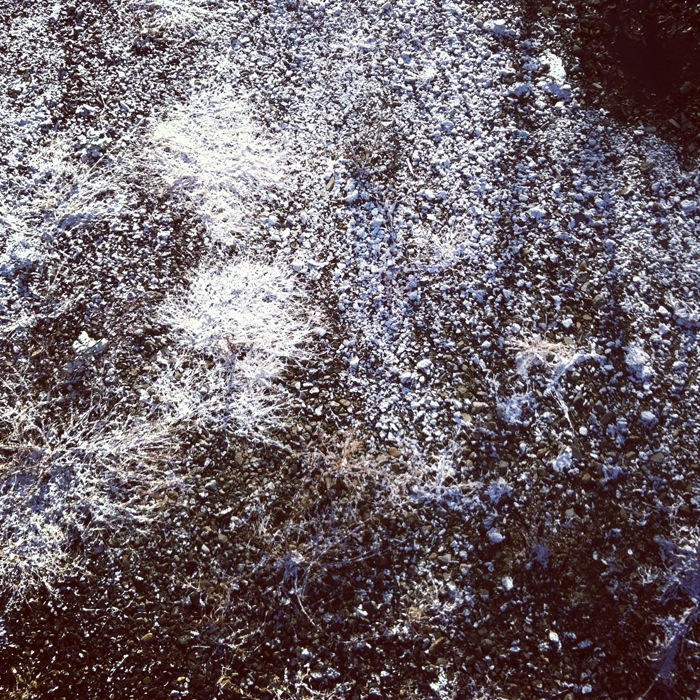 dȂ