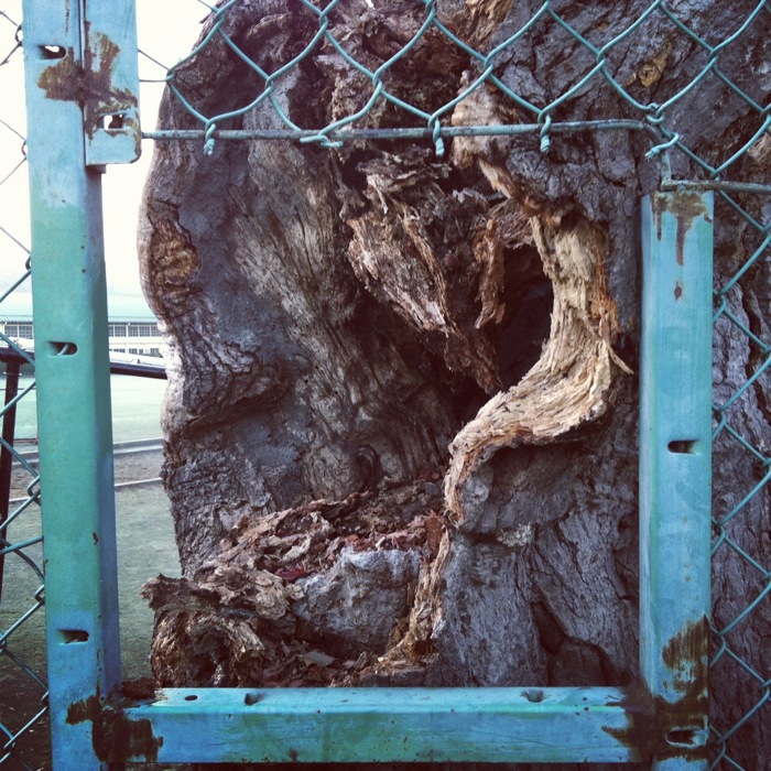insta20130227_06m.jpg